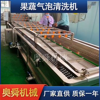 大型不銹鋼果蔬清洗機 瓜果蘋果氣泡清洗機 竹筍氣泡清洗機