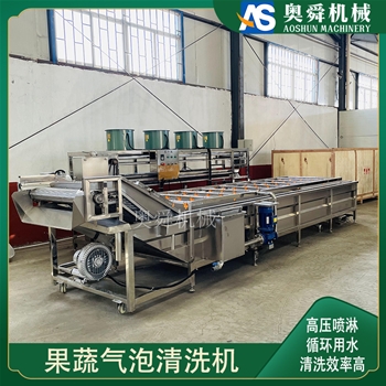 多功能水循環氣泡清洗設備 牛百葉自動清洗機 帶臭氧滅菌清洗流水線?
