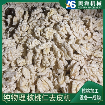核桃仁去皮機(jī) 全自動(dòng)核桃仁深加工設(shè)備 去皮時(shí)間可定